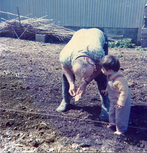 scan0066
